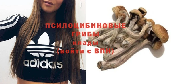 гидра Алексин