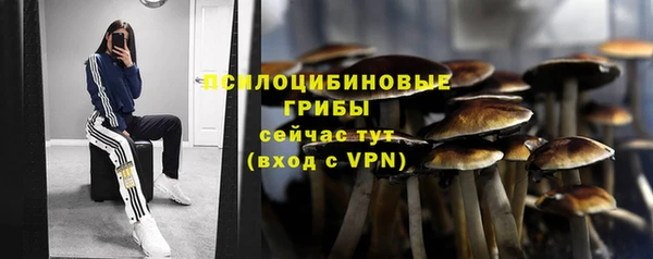 хмурый Алексеевка