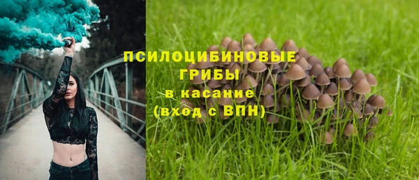 каннабис Алзамай