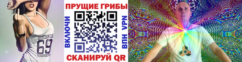 Галлюциногенные грибы мицелий  Клин 