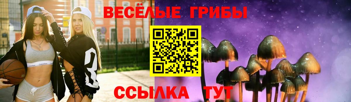 Клин  купить  цена  Вход с VPN  Псилоцибиновые грибы Cubensis 